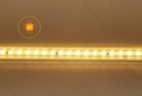 B10303I0P