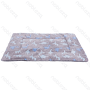 Aigostar Dinosaur jacquard flannel mat L100*W75cm Grey