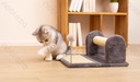 Aigostar Krabspeelgoed voor katten met bal L40.5*B32.5*H26cm