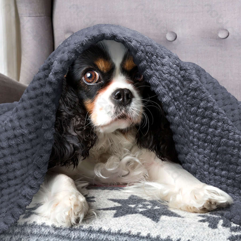 Aigostar Jacquard flanellen deken L100*B80CM