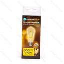 Aigostar Dimbare LED-gloeidraad ST64 E27 6W 2700K