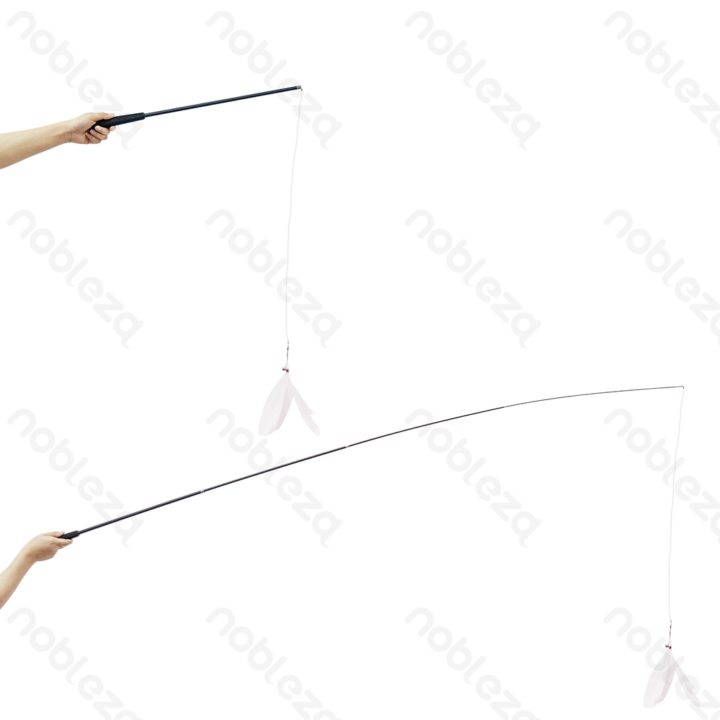 Aigostar Intrekbare speelgoedhengel voor katten