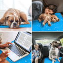 Aigostar Verkoelingsmat met patroon voor huisdieren