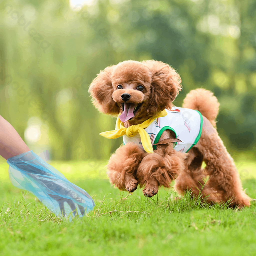 Aigostar Waste bags W23*L32cm 0.8 mil Blue&Pink&Yellow&Green&Black 12pcs