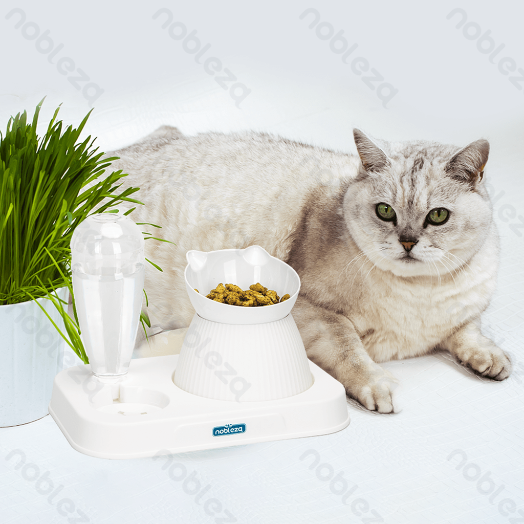 Aigostar 2-in-1 kattenvoer- en waterbak set