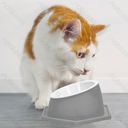 Aigostar Verhoogde kattenkom