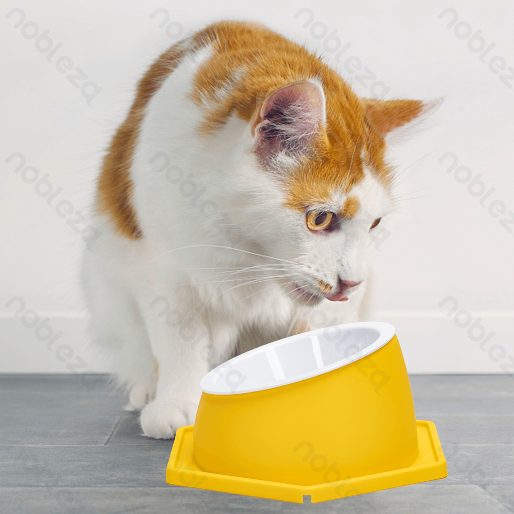 Aigostar Verhoogde kattenkom