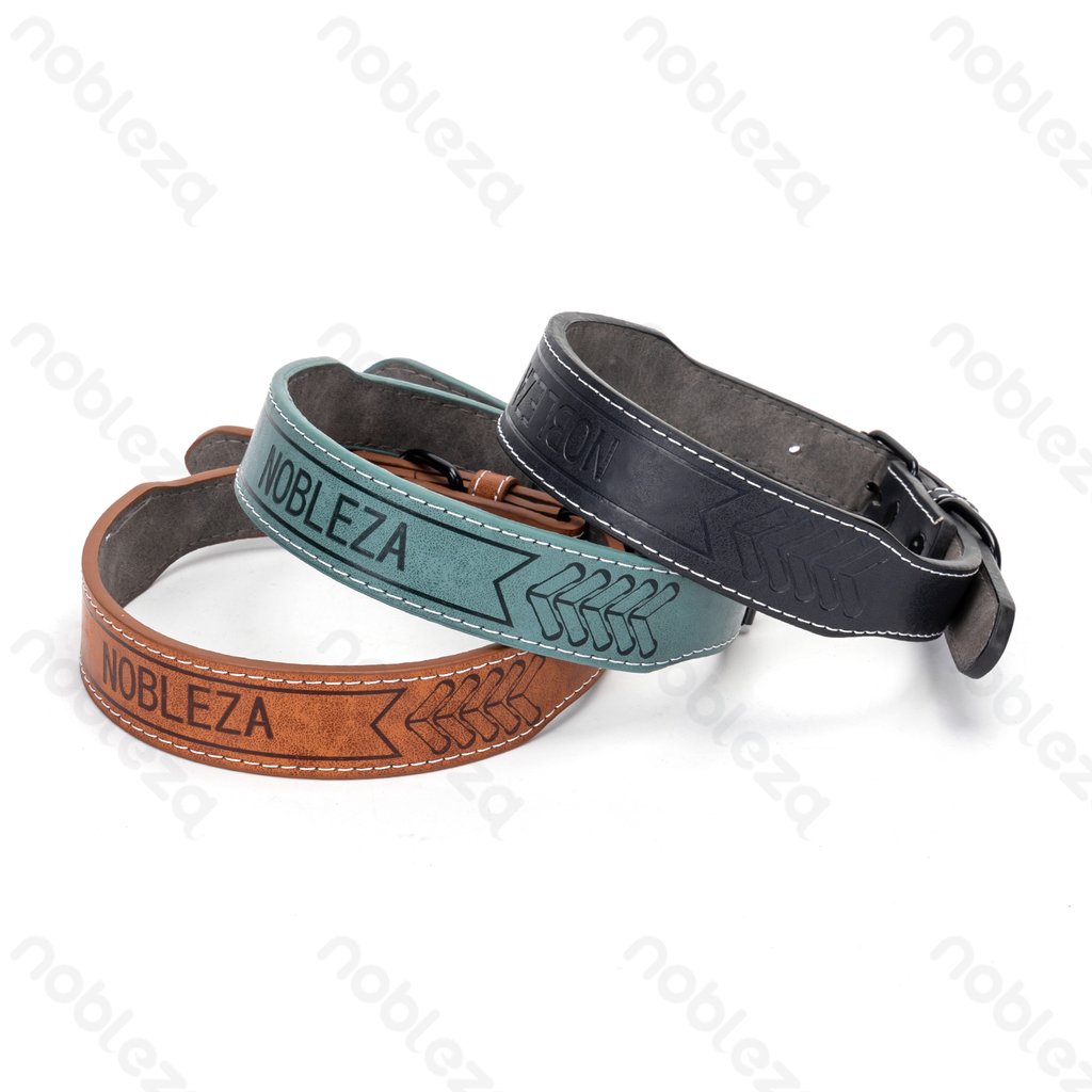 Aigostar Hondenhalsband van pu-materiaal