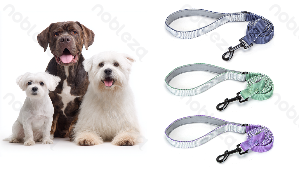 Aigostar Solide hondenleiband