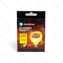Aigostar LED Gloeilamp (Buitenaards) E27 4W