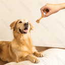 Aigostar Geknoopte botten