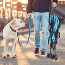 Aigostar Lichtblauwe kinderwagen voor huisdieren