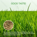 Aigostar Eetbaar hooi voor kleine dieren