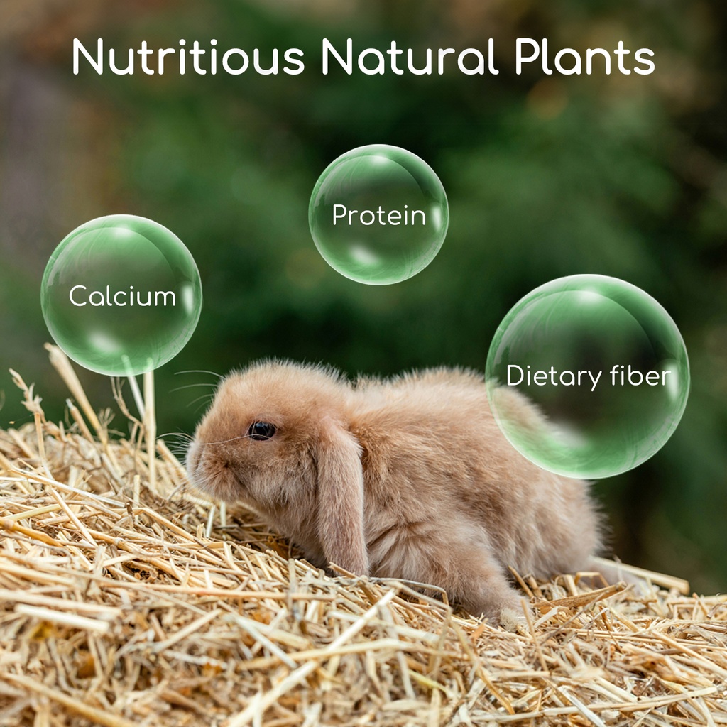 Aigostar Eetbaar hooi voor kleine dieren