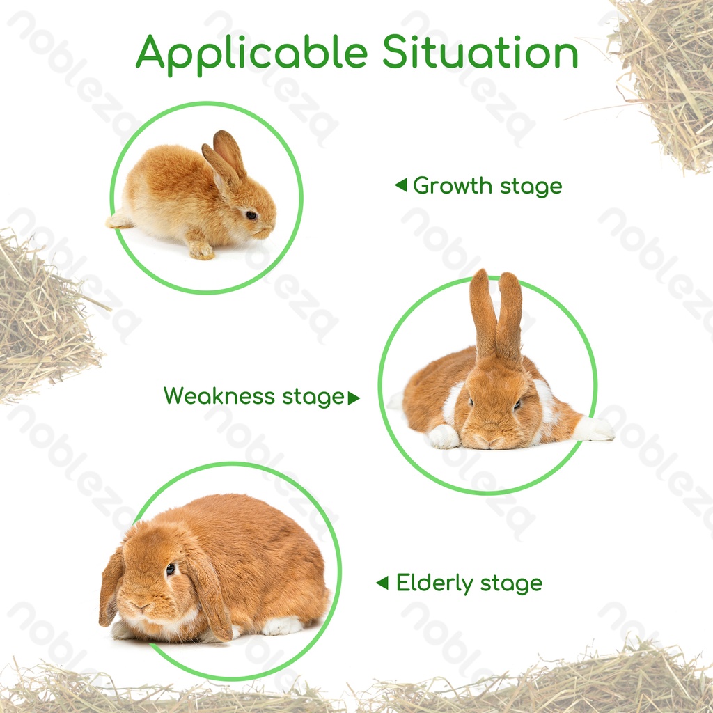 Aigostar Eetbaar hooi voor kleine dieren