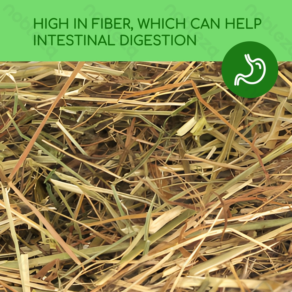 Aigostar Eetbaar hooi voor kleine dieren