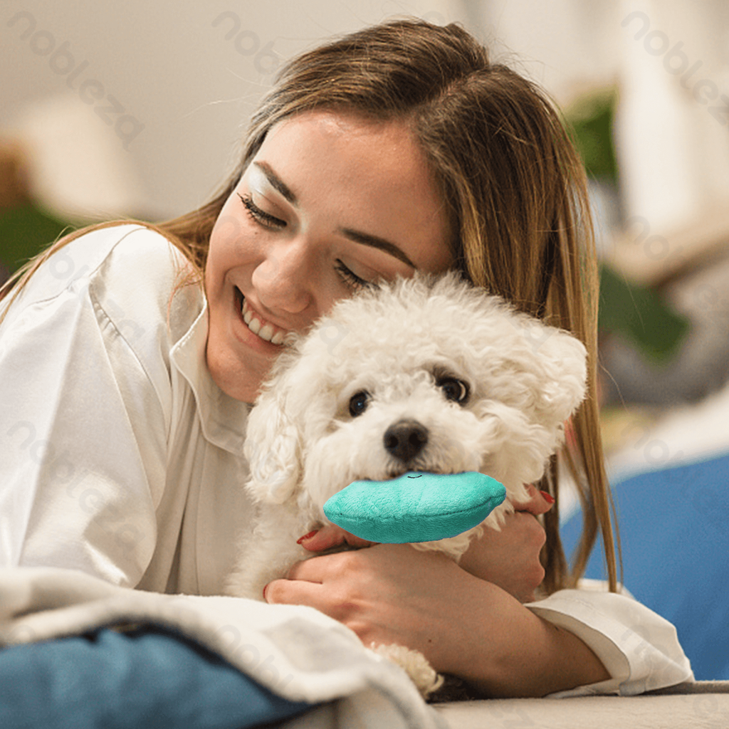 Aigostar Pluche hondenspeelgoed met geluid - Ster & Wolk & Maan