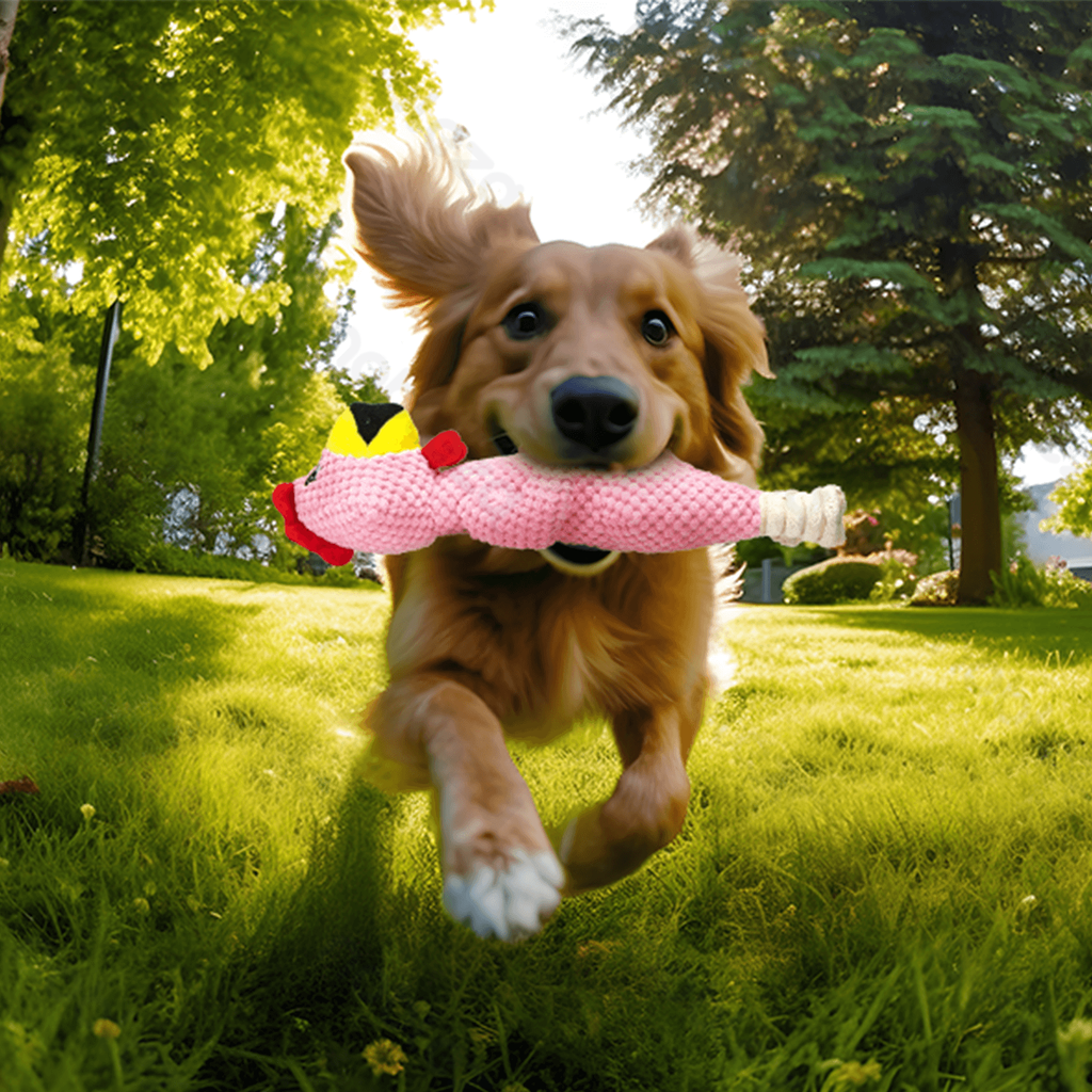 Aigostar Pluche Hondenspeelgoed met Geluid - Haan