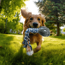 Aigostar Pluche Hondenspeelgoed met Geluid - Kattenpoot