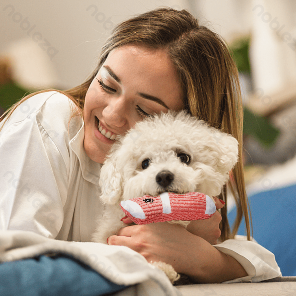 Aigostar Pluche Hondenspeelgoed met Geluid - Sok