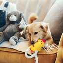 Aigostar Hondentouwspeelgoed met geluid - Dieren