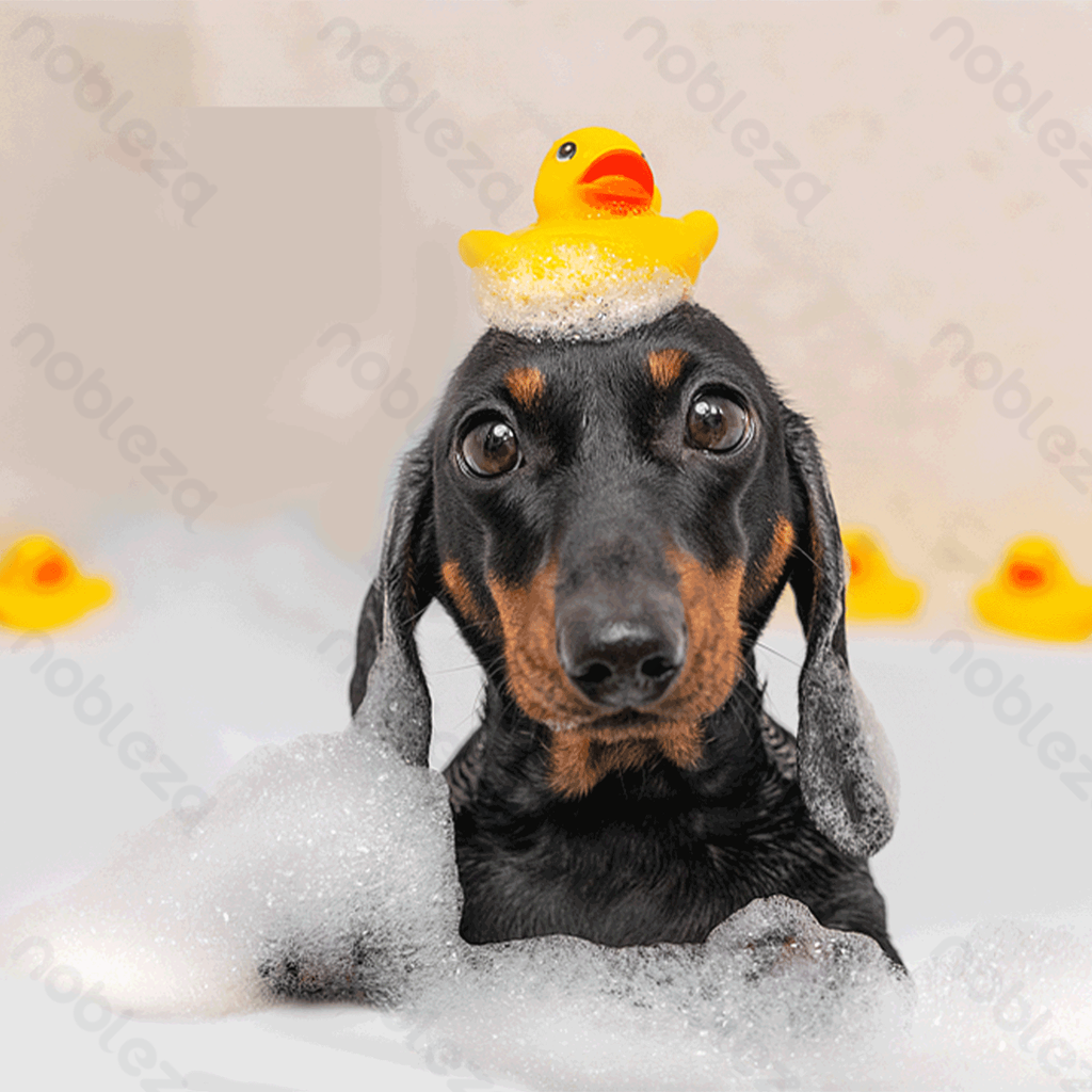 Aigostar Shampoo met tea tree-geur voor zwartharige honden