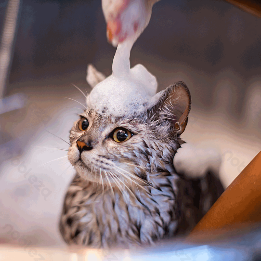 Aigostar Shampoo met tea tree-geur voor katten (universeel)