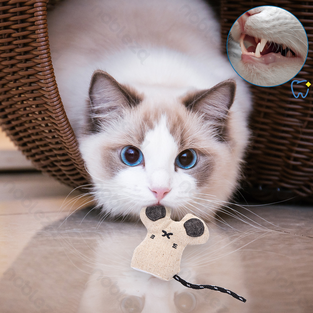 Aigostar Knuffel muis met kattenkruid