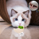 Aigostar Knuffel uil met kattenkruid