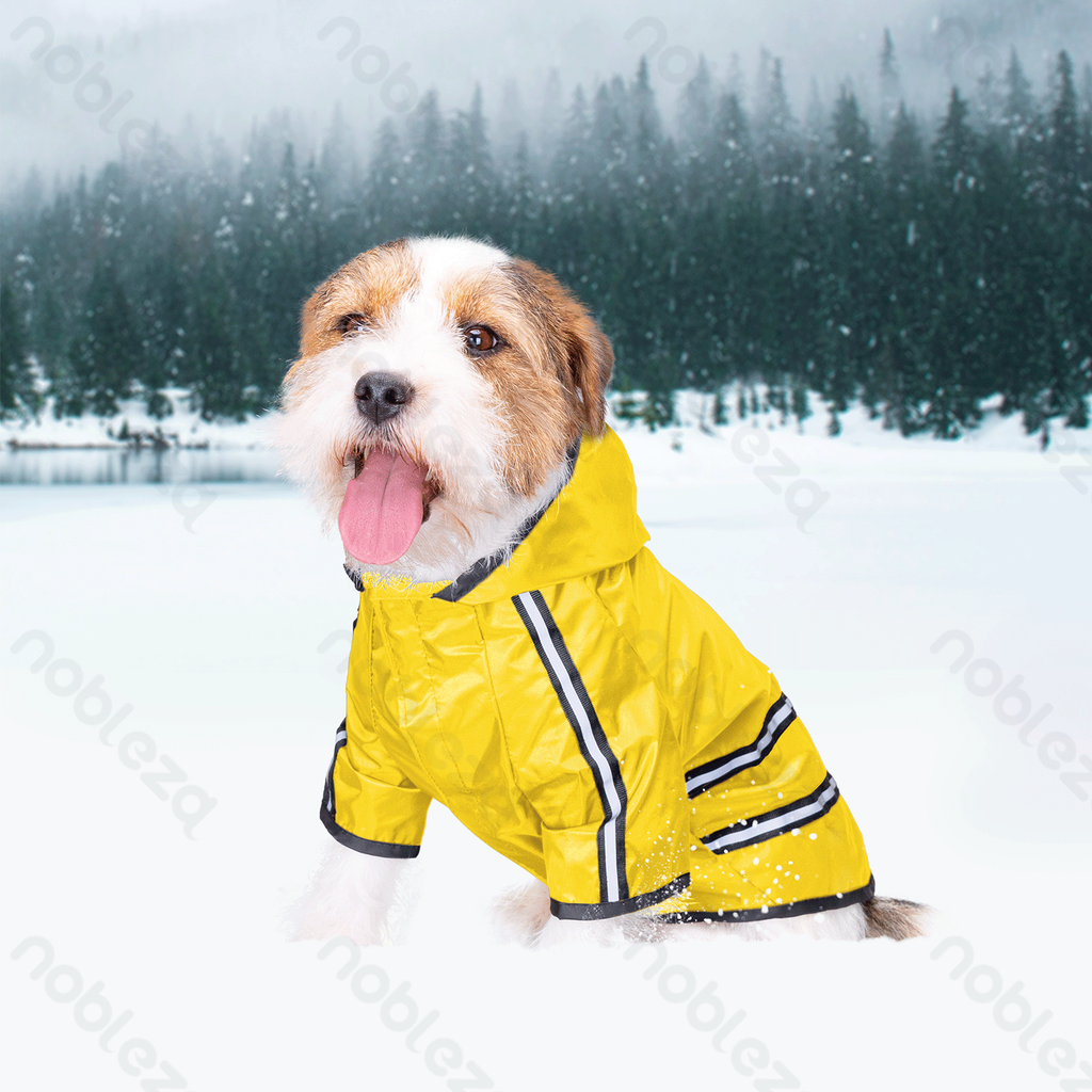 Aigostar Dubbel gestreepte regenjas met capuchon