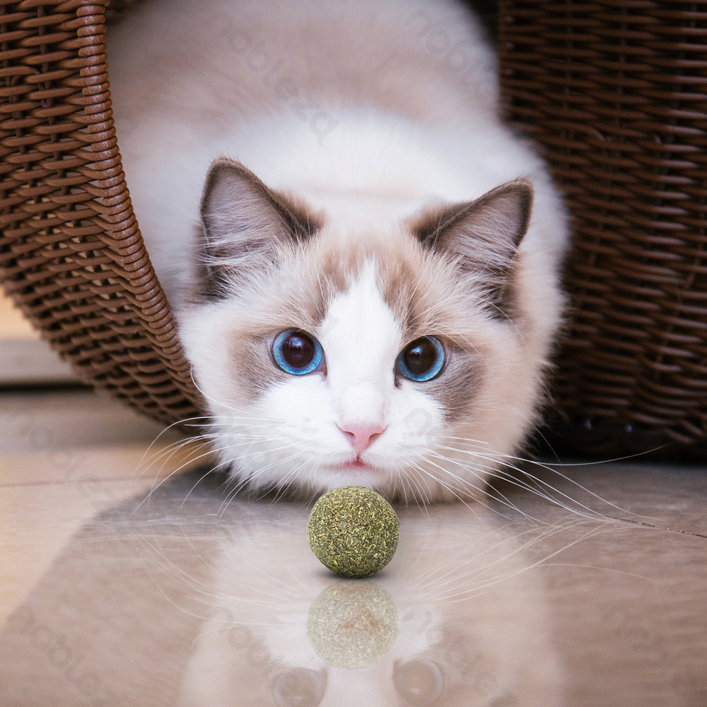 Aigostar Kattenmuntbal (2 stuks)