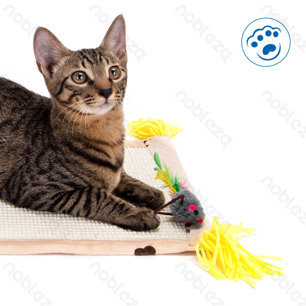 Aigostar Mat van sisaltouw