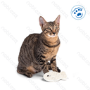 Aigostar Krabspeeltje voor katten in de vorm van een vis