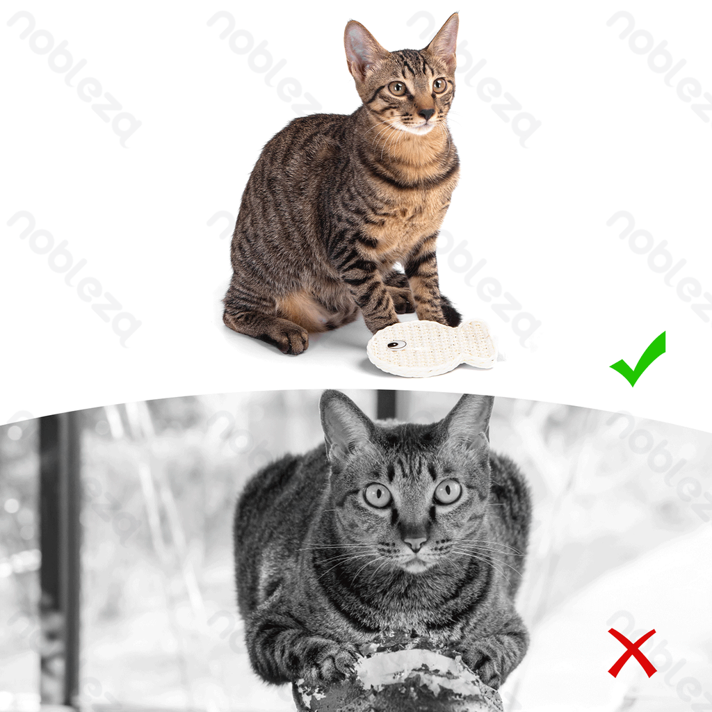 Aigostar Krabspeeltje voor katten in de vorm van een vis