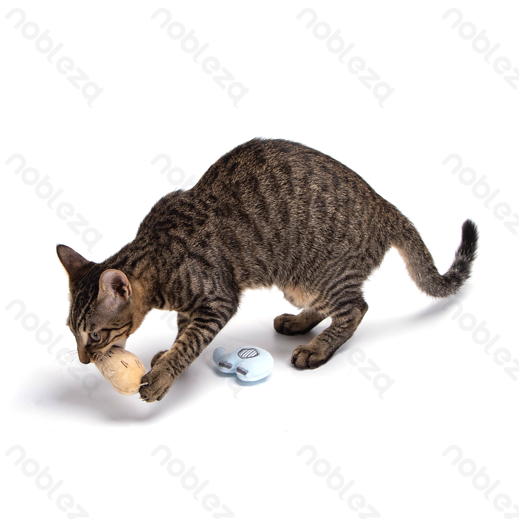 Aigostar Kattenspeelgoed in diervorm