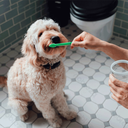 Aigostar Tandpasta & tandenborstelset voor huisdieren (Drie opzetborstels)