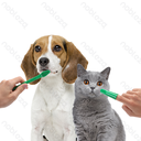 Aigostar Tandpasta & tandenborstelset voor huisdieren (Drie opzetborstels)