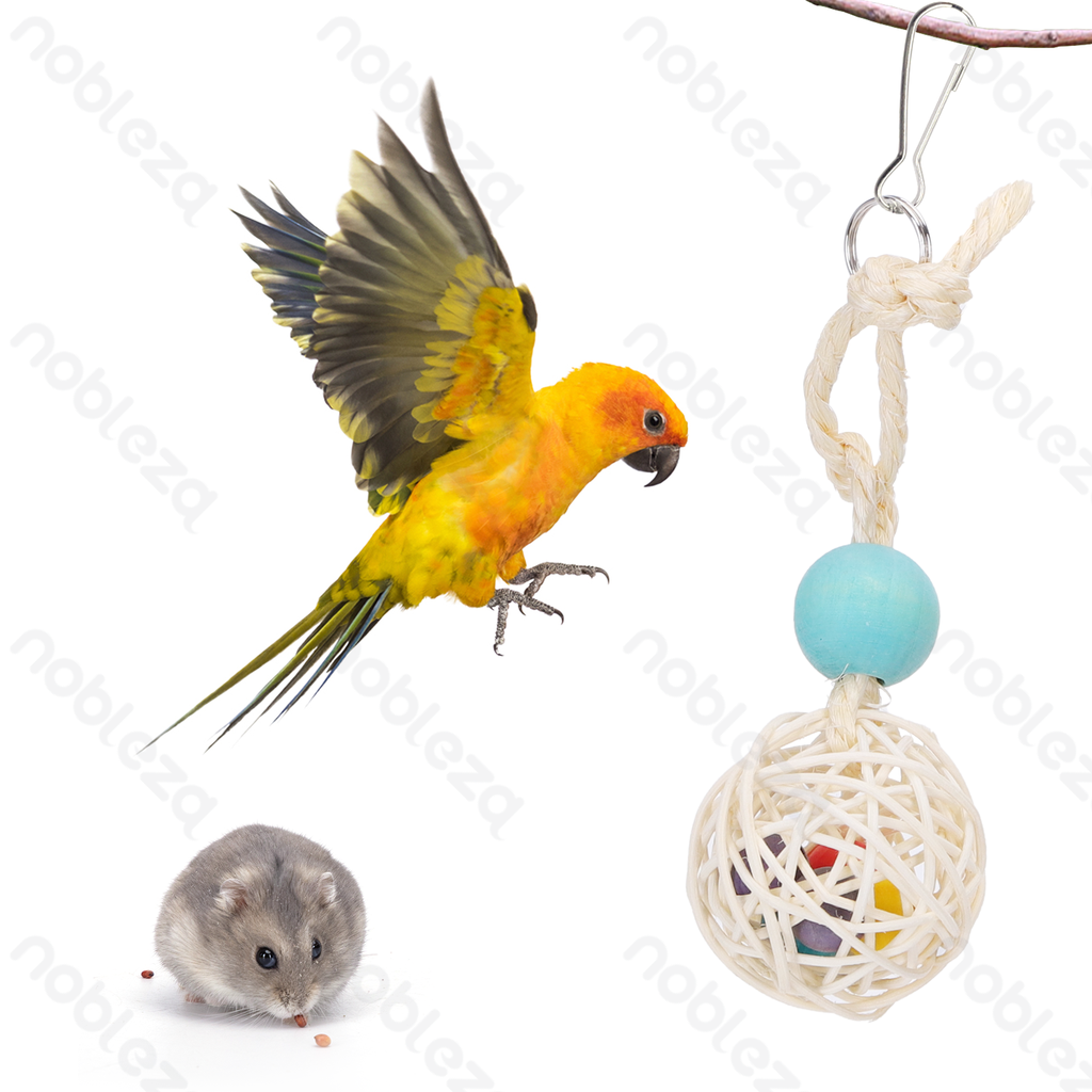 Aigostar Sepaktakraw