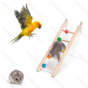 Aigostar Verticale ladder