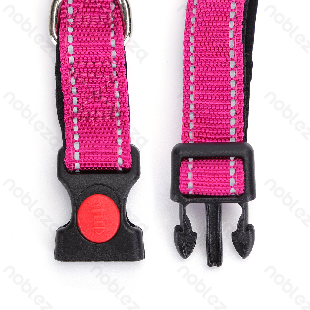 Aigostar Klassieke halsband met veiligheidsgesp