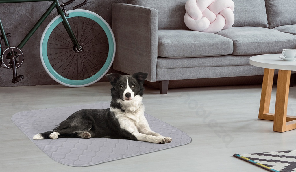 Aigostar trainingspad voor huisdieren uitwasbaar