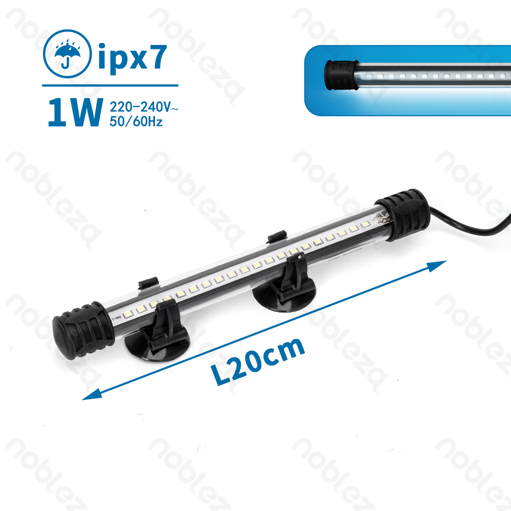 B40801Q2W