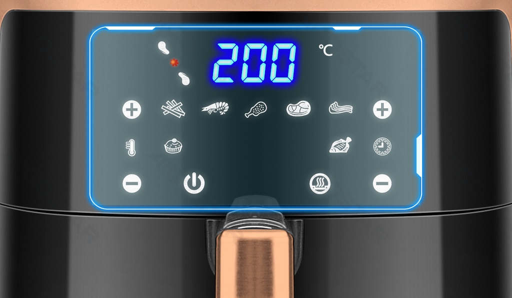 300010GS4