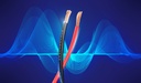 Audio Cable 2G0.75mm² 5M, red and black