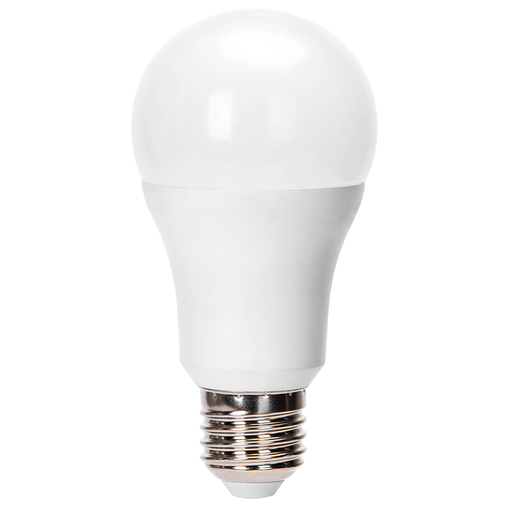[B10105M65] LED Bulbs A60 E27,24W 6500K