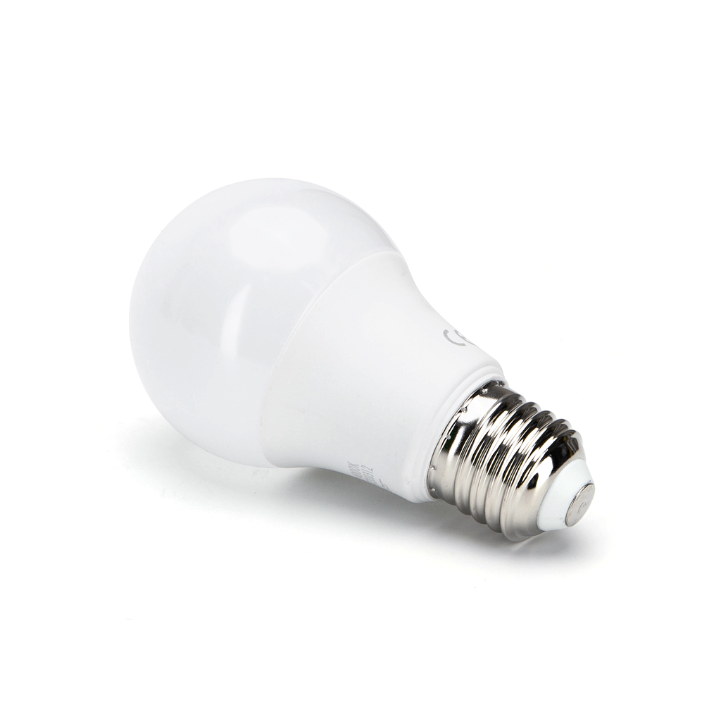 Ampoules LED A60 E27, 17W 6500K