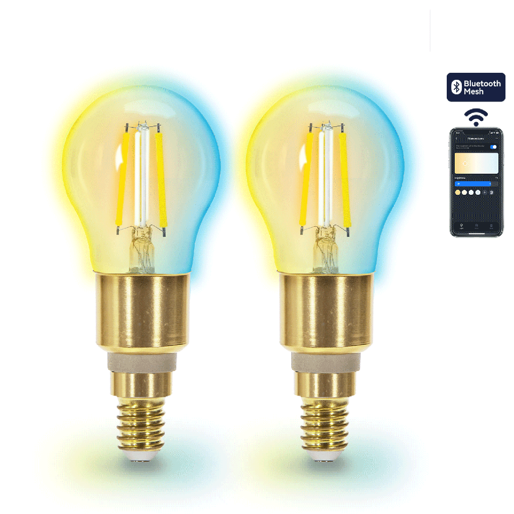 [S10301NW6] Bluetooth Mesh Smart Filament Lamp G45,4.5W CCT 2st met afstandsbediening