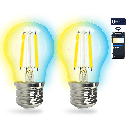 Aigostar Bluetooth Mesh Smart Filament Lamp G45,4.5W CCT 2st met afstandsbediening