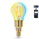Bluetooth Mesh Smart Filament Lamp G45,4.5W CCT