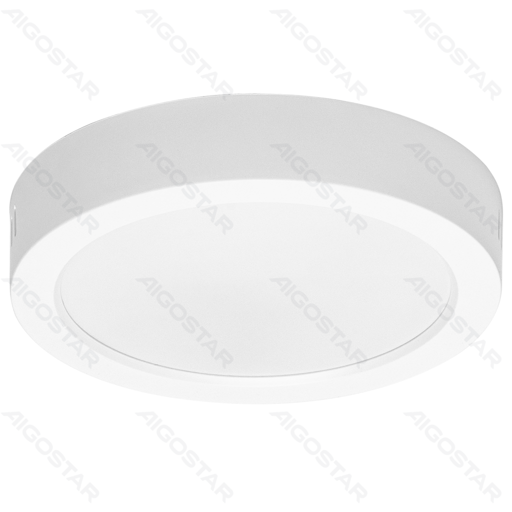 Rundes E6 LED-Aufputzdownlight 12 W Weißes Licht